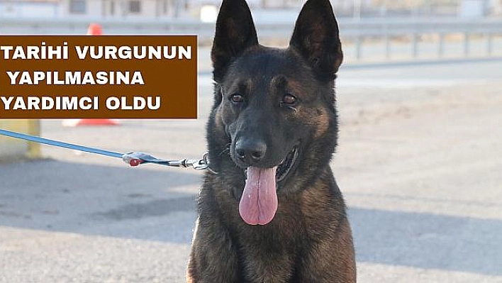 'Odin' En Hassas Burunlar Arasına Girdi