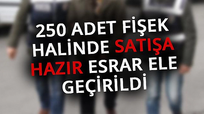 Toprağa gömülü esrar ele geçirildi, 1 şüpheli gözaltına alındı