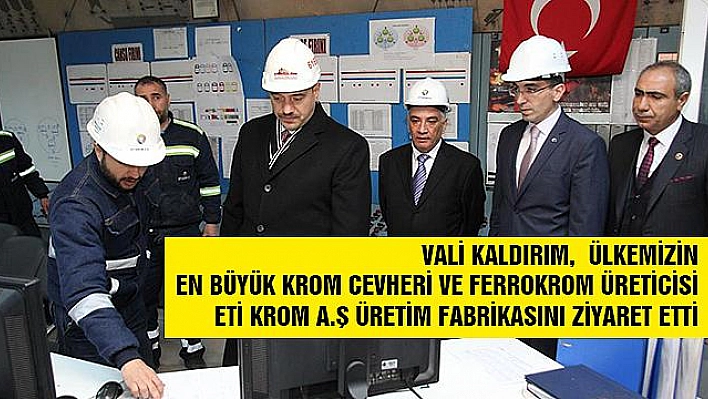 Vali Kaldırım Karakoçan'ı Ziyaret Etti