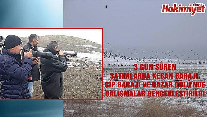 ELAZIĞ'DA KIŞ ORTASI SU KUŞU SAYIMLARI YAPILDI