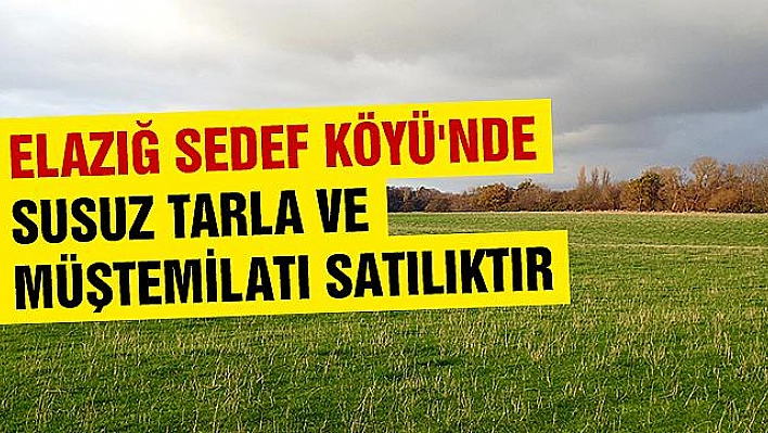 Elazığ Sedef Köyü'nde  satılık susuz tarla ve müştemilatı