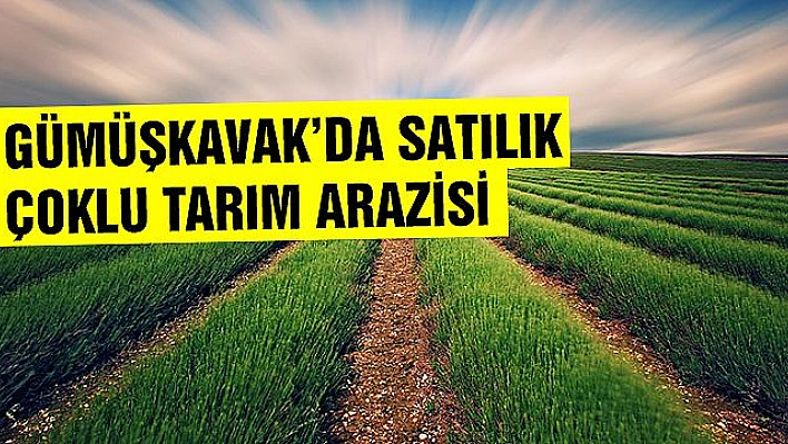 Gümüşkavak'da Satılık Çoklu Tarım Arazisi 