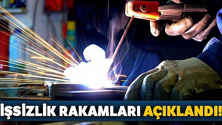 İşsizlik rakamları açıklandı