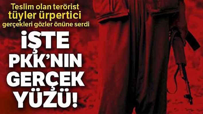İşte PKK'nın gerçek yüzü