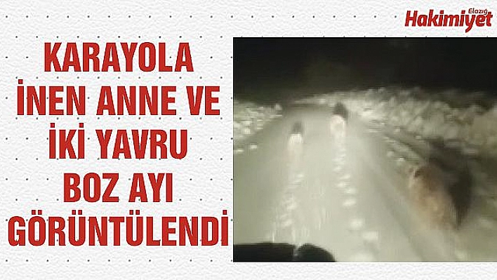 KARDA YOLA İNEN 3 AYI GÖRÜNTÜLENDİ