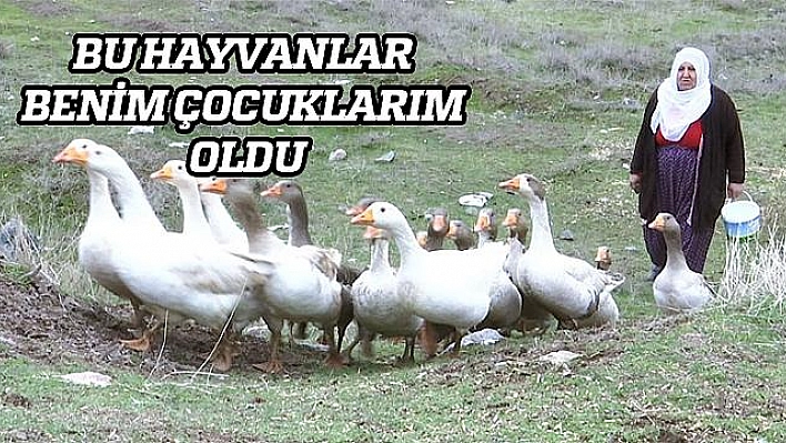 HASTALIĞINI HAYVAN SEVGİSİ İLE YENİYOR