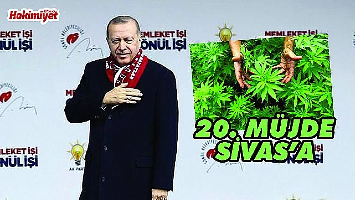 Sıra Elazığ'da mı?