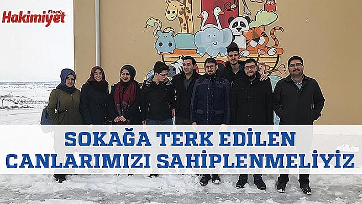 'Sokağa Terk Edilen Canlarımızı Sahiplenmeliyiz'