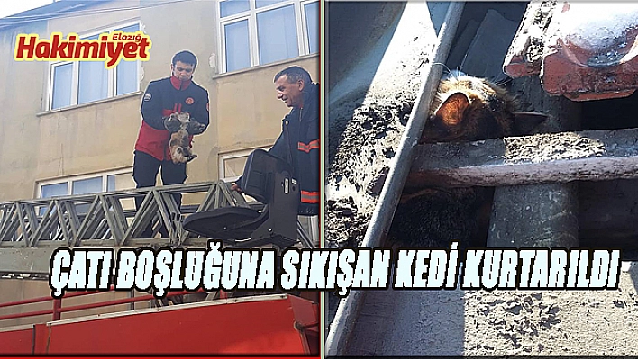 ÇATI BOŞLUĞUNA SIKIŞAN KEDİ KURTARILDI 