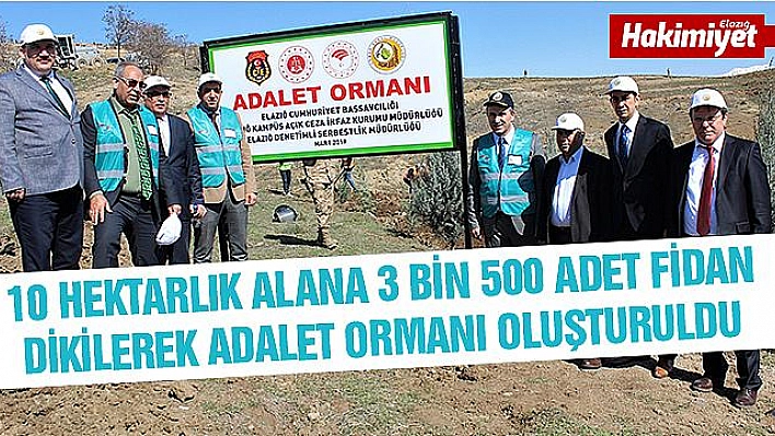 ELAZIĞ'DA ADALET ORMANI OLUŞTURULDU