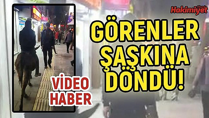 Gazi Caddesi'nde eşekli tur