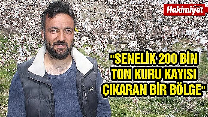 Kayısı ağaçları 'gelinliğini' giydi