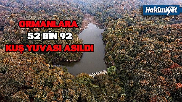 ORMAN ZARARLILARIYLA MÜCADELE İÇİN 8 MİLYON LİRA HARCANDI