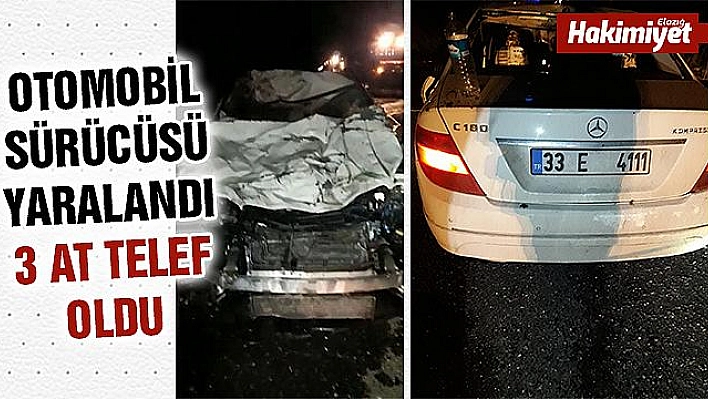 Otomobil yola çıkan atlara çarptı, 3'ü telef oldu