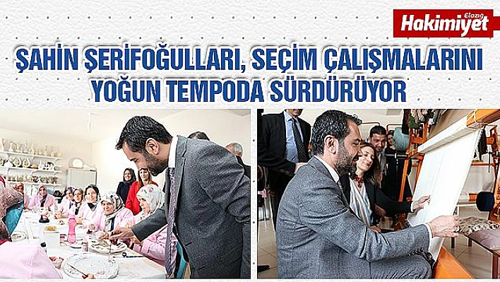 ŞERİFOĞULLARI: 'TİCARET, DOĞDUĞU SOKAKLARA GERİ DÖNECEK'