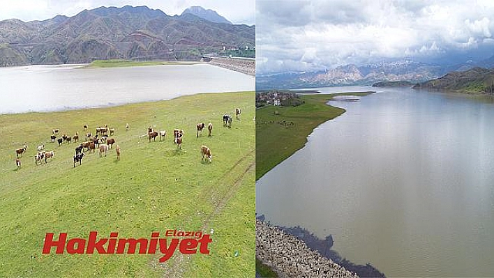 5 yıl önce kuruyan nehir bambaşka görüntüye büründü