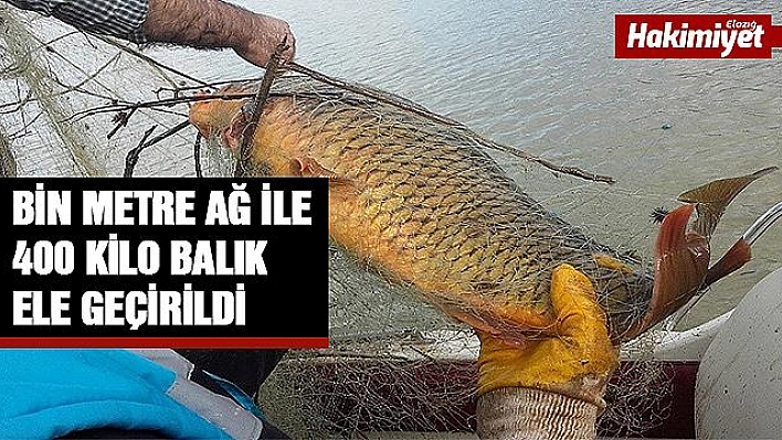 Kaçak avda kullanılan bin metre ağ ile 400 kilo balık ele geçirildi