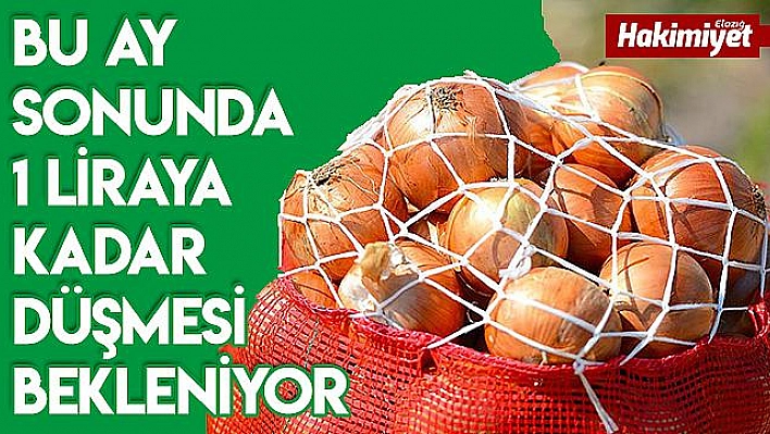 'Nisan sonunda soğan fiyatının 1-1,5 lira olması bekleniyor'