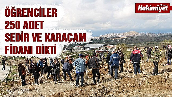 Öğrenciler fidan dikti