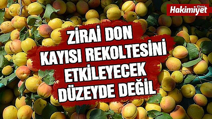 'Zirai don kayısıda rekolteyi etkilemeyecek'