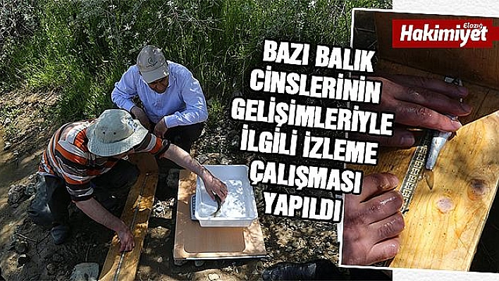 Balık İzleme Çalışması Yapıldı