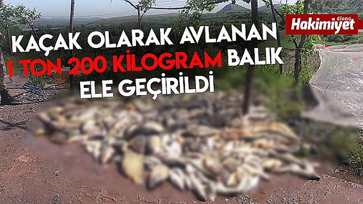 Bu kez de 1 ton 200 kilo balık çöp oldu