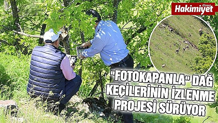 Dağ Keçileri İzleme Projesi Sürüyor