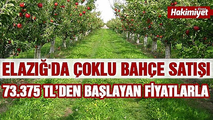 Elazığ'da çoklu bahçe satışı