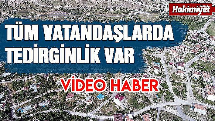 Elazığ'da köpeklerin saldırdığı kadının öldüğü mahallede tedirginlik