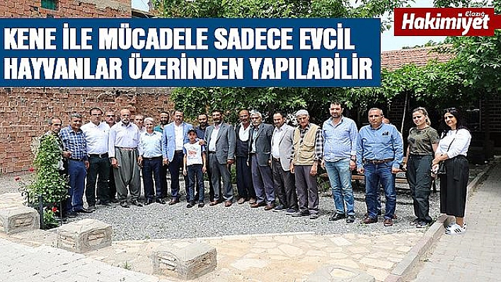 Elazığ'da, vatandaşlar keneye karşı uyarıldı