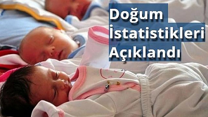 Doğurganlığın En Düşük Olduğu İl 'Gümüşhane' Oldu