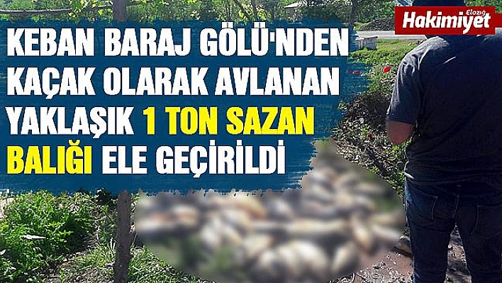 Kaçak avlanan 1 ton balık ele geçirildi