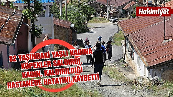 Köpeklerin saldırısına uğrayan yaşlı kadın hayatını kaybetti