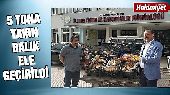 Yine kaçak avlanan 1 ton balık yakalandı