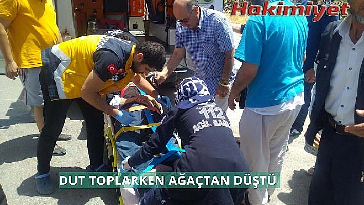 Dut toplamak için çıktığı ağaçtan düştü 