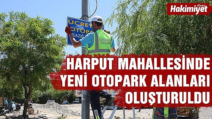 HARPUT'TA OTOPARK ALANI 3 KATINA ÇIKARILDI