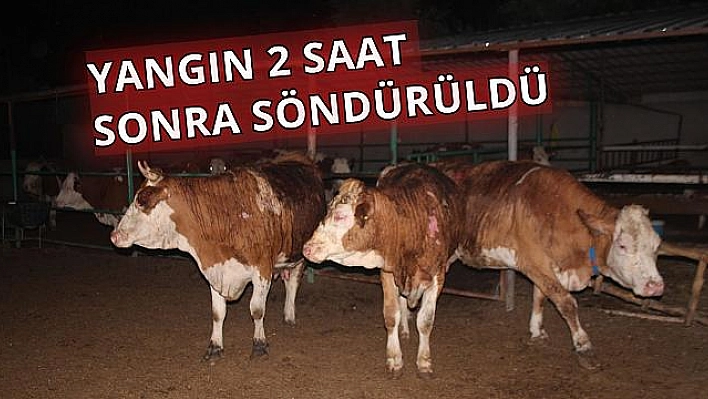 Ahırda çıkan yangın korku dolu anlar yaşattı