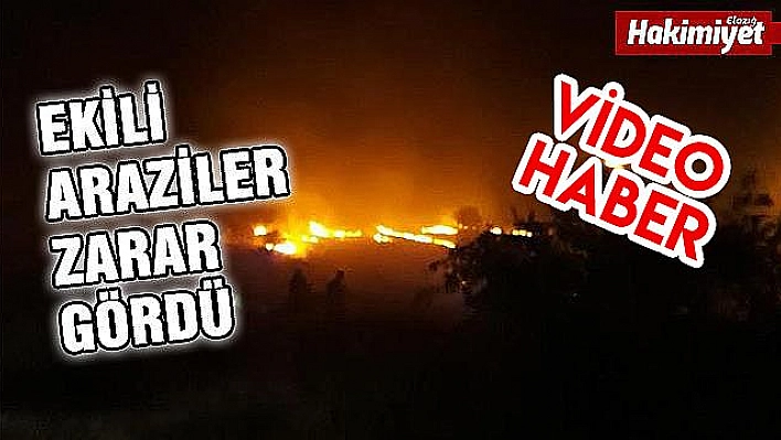 Elazığ'da orman yangını