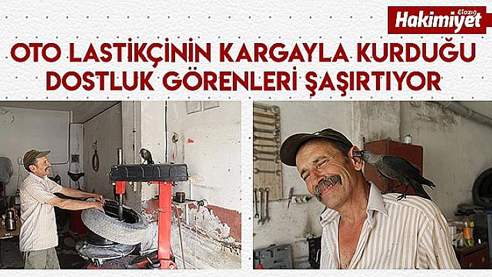 Oto lastikçinin kargayla dostluğu görenleri şaşırtıyor