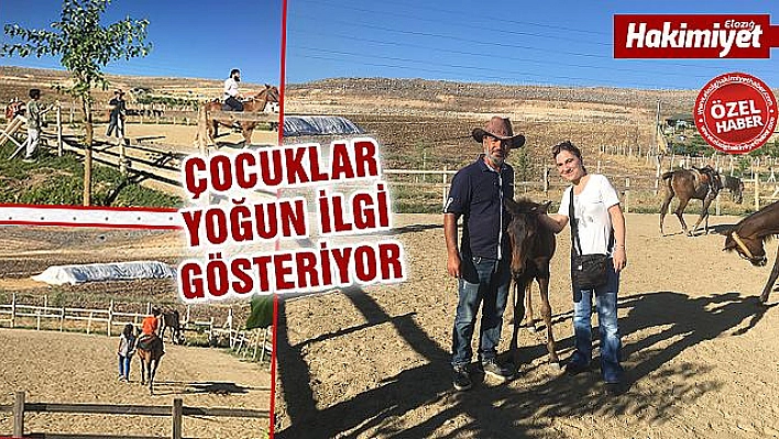 ALİ BABA'NIN ÇİFTLİĞİ İLGİ GÖRMEYE DEVAM EDİYOR