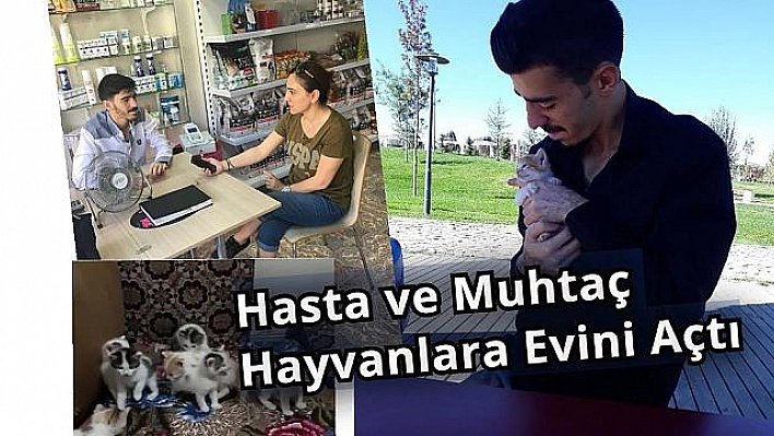 EVİNİ SOKAK HAYVANLARINA AÇTI