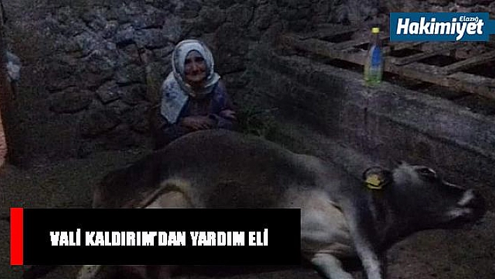 İneği ölen yaşlı kadına Vali Kaldırım'dan yardım eli uzandı