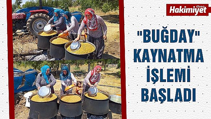 Kış için 'Buğday' kaynatma zamanı