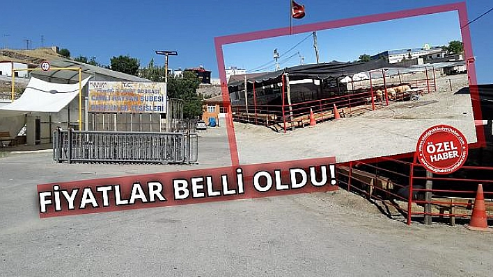 KURBANLIK FİYATLARI BELLİ OLDU