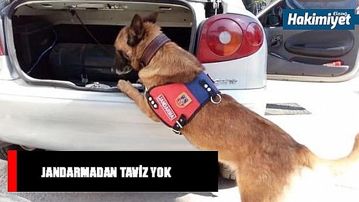 Narkotik köpeği tepki verdi, uyuşturucu ele geçirildi