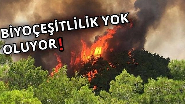 ORMAN YANGINLARI EKİLİ ARAZİLERİ YOK EDİYOR