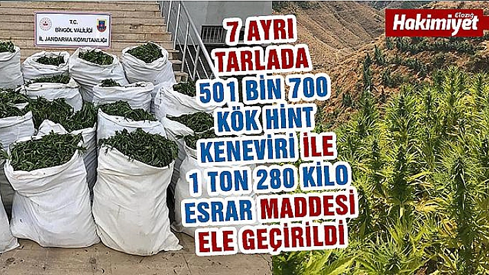 Yapılan Operasyonda 1 ton 280 kilo esrar ve Hint keneviri ele geçirildi  