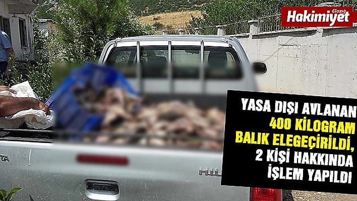 Yasa dışı avlanan 400 kilo balık ele geçirildi