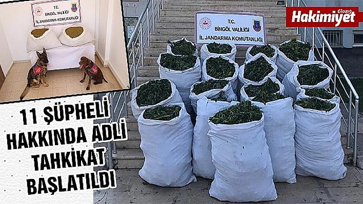 89 kilo esrar ve 270 bin kök kenevir ele geçirildi