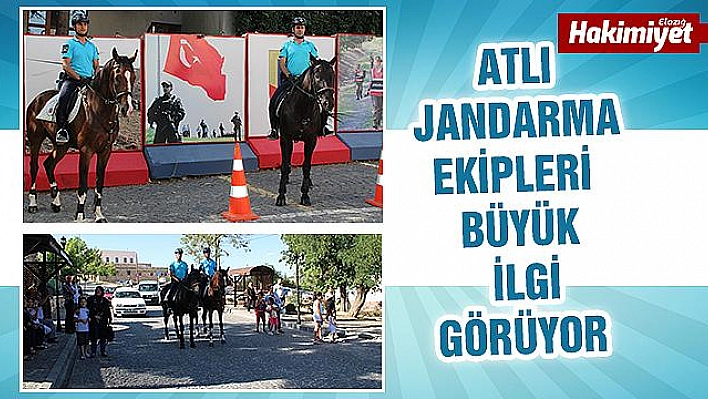 ATLI JANDARMA EKİPLERİ GÖREVİNİ BAŞARI İLE SÜRDÜRÜYOR 